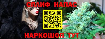 спиды Можга