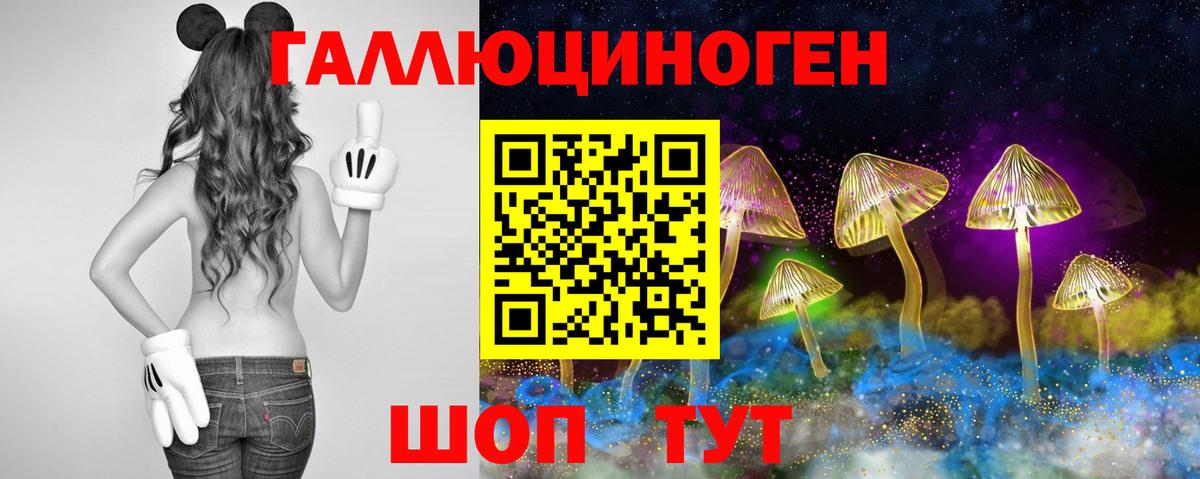 Псилоцибиновые грибы мицелий  Галлюциногенные грибы GOLDEN TEACHER  Вход с VPN  Фурманов 
