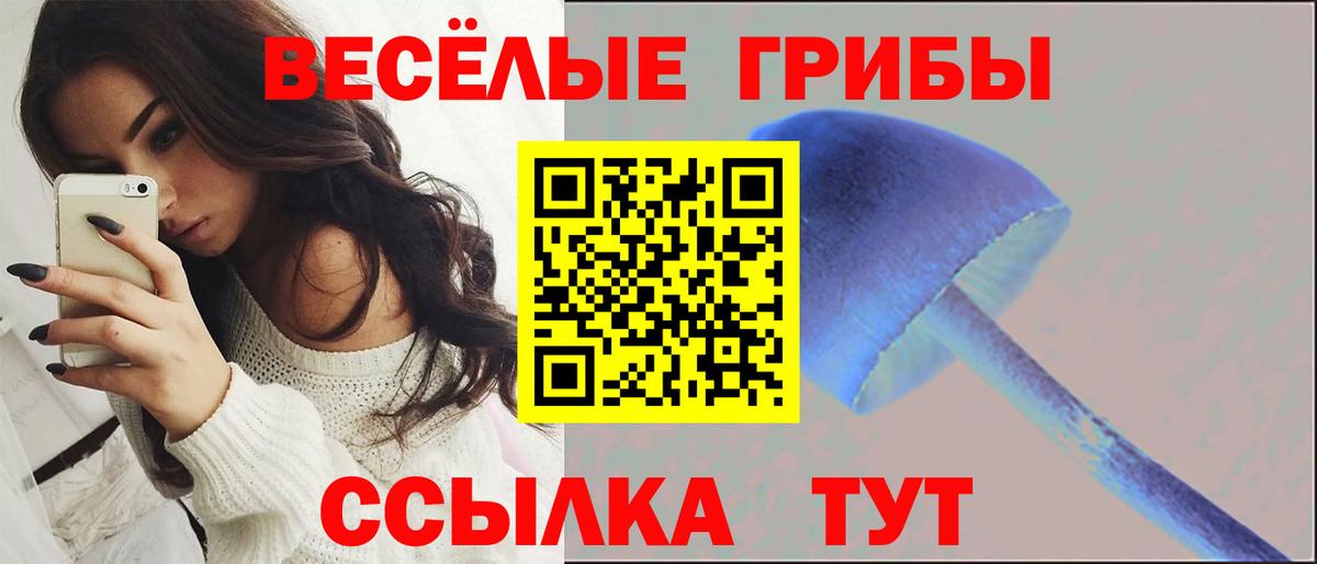 Псилоцибиновые грибы Magic Shrooms Фурманов